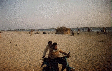 image1.jpg
