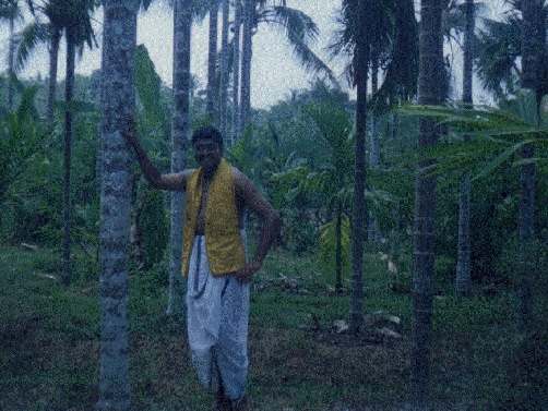 image5.jpg